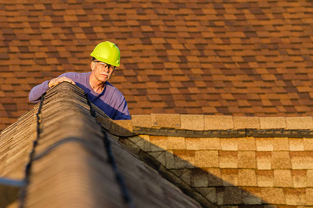 Best Storm Damage Roof Repair  in River Forest, IL