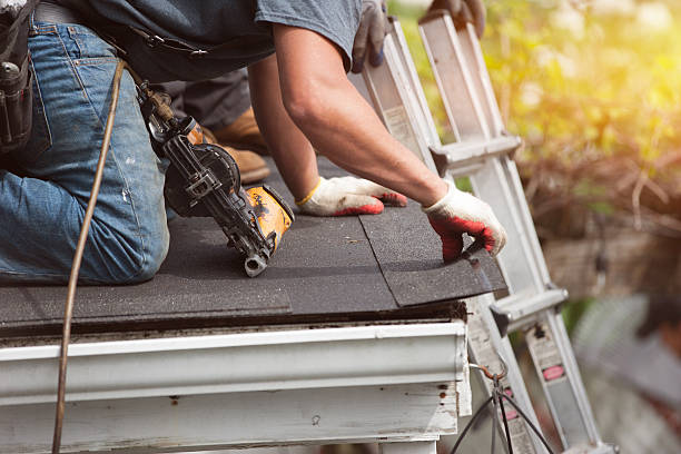 Roof Gutter Cleaning in River Forest, IL